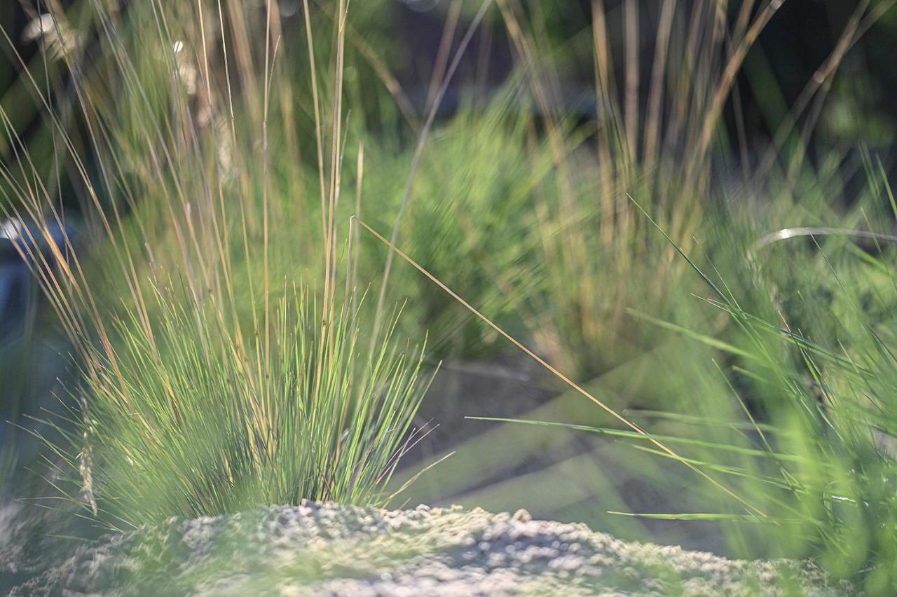 Op'N Diek Fehmarn Exteriér fotografie